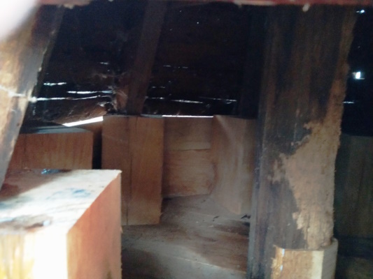 New Oak Block Supports